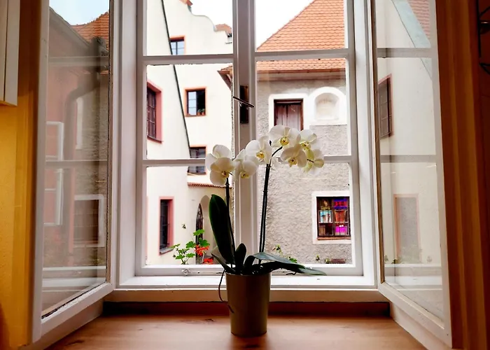 Old Town Living Apartments